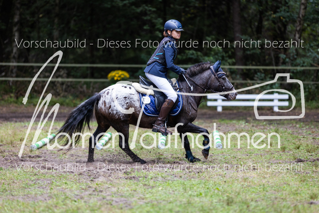 HB-Caprilli-027 | MomenTaufnahmen Pferdesportfotos