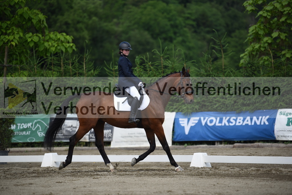 DSC_8714 | equestrian-live-com