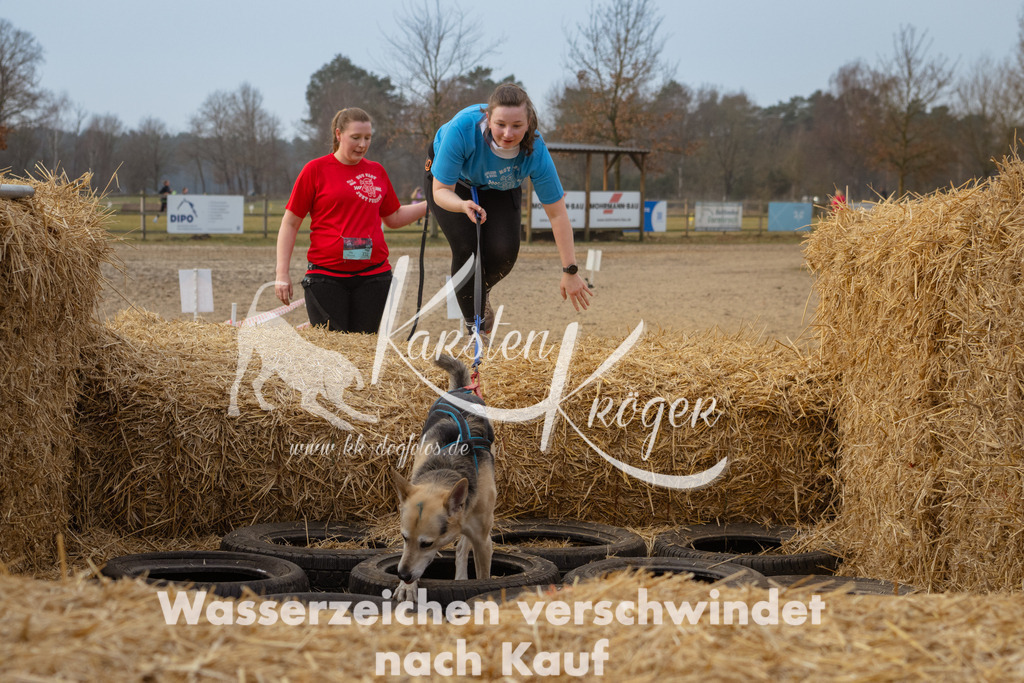 0921_ZZ98044 | kk-dogfotos