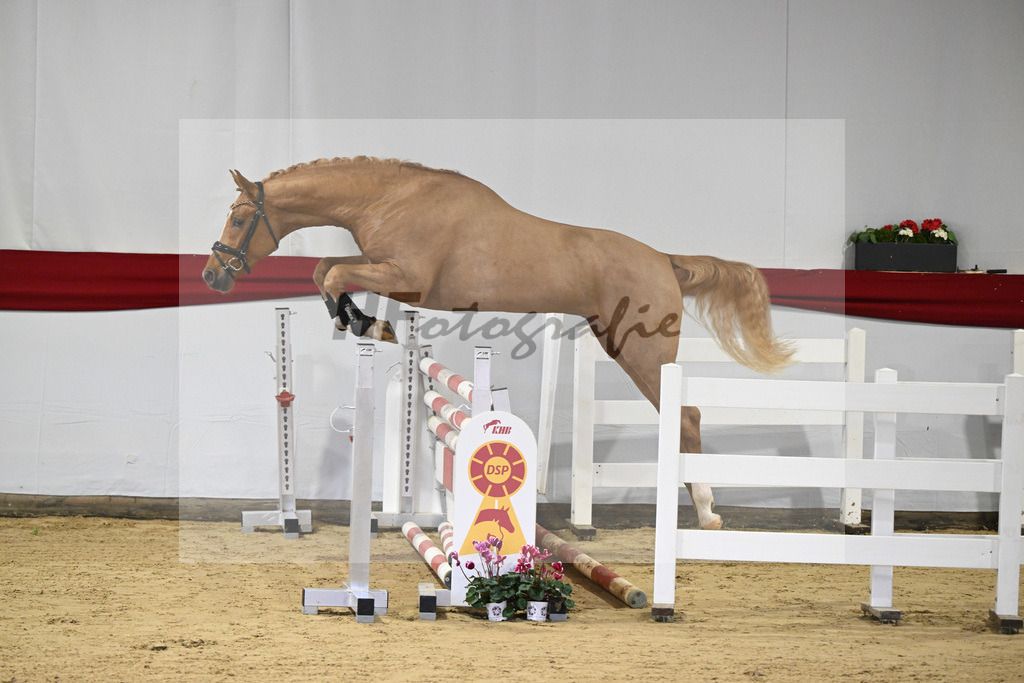 Kat-Nr. 35 v. Zinedream_Schulze-Averdiek_63220795 | hf-fotografie - Realisiert mit Pictrs.com