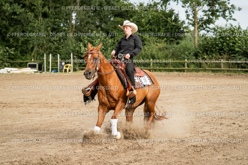 DSC05288 | Pferdegrafie