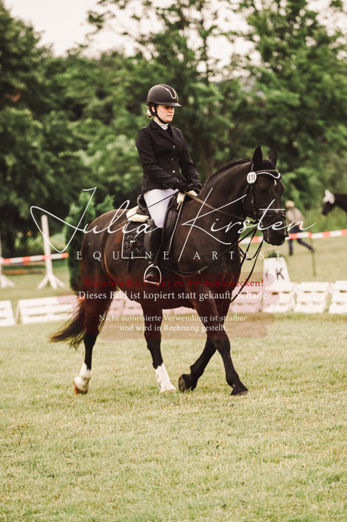 DSC_5066 | Pferde- und Turnierfotografie in Westsachsen. Pferdeportraits, Auftragszeichnungen und intuitive Kunst.