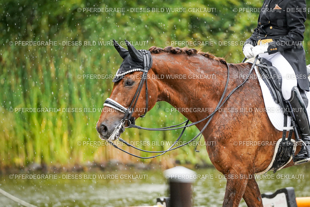 DSC09196 | Pferdegrafie