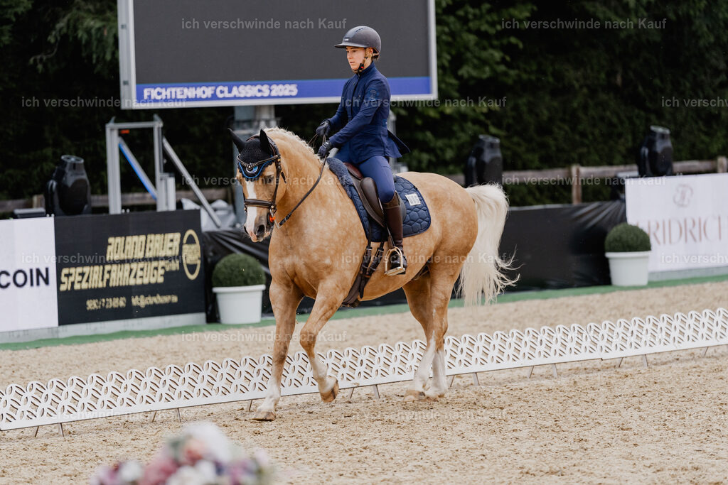 Nici11_FHC2025-8283 | working equitationturnier fotograf videograf stoibphotography marixx film working equitation deutschland reitsport turnierfotografie eventfotografie equestrian events