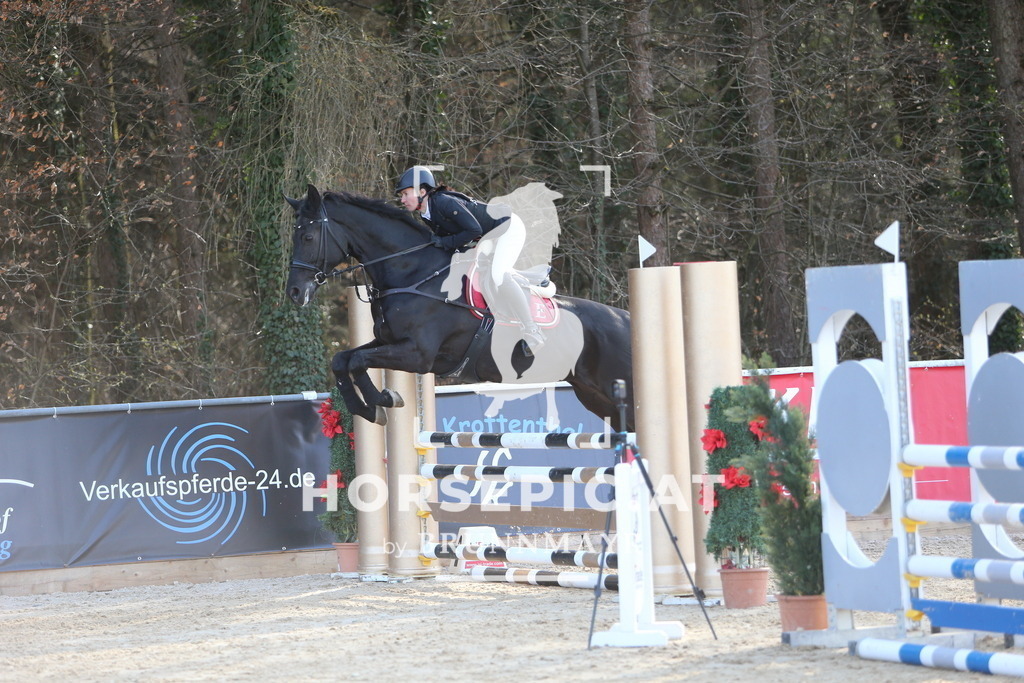 DL2Q4125 | Willkommen bei Brunnmayr - Design & Fotografie – Ihrem Spezialisten für Reitturniere und Pferdeveranstaltungen in Oberösterreich, Salzburg und Bayern! Seit über 17 Jahren sind wir leidenschaftlich dabei.