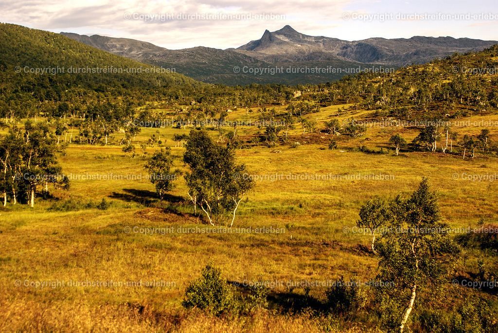Typische karge Landschaft auf dem Lofot im Sommer | Typische karge Landschaft auf dem Lofot im Sommer - Realisiert mit Pictrs.com