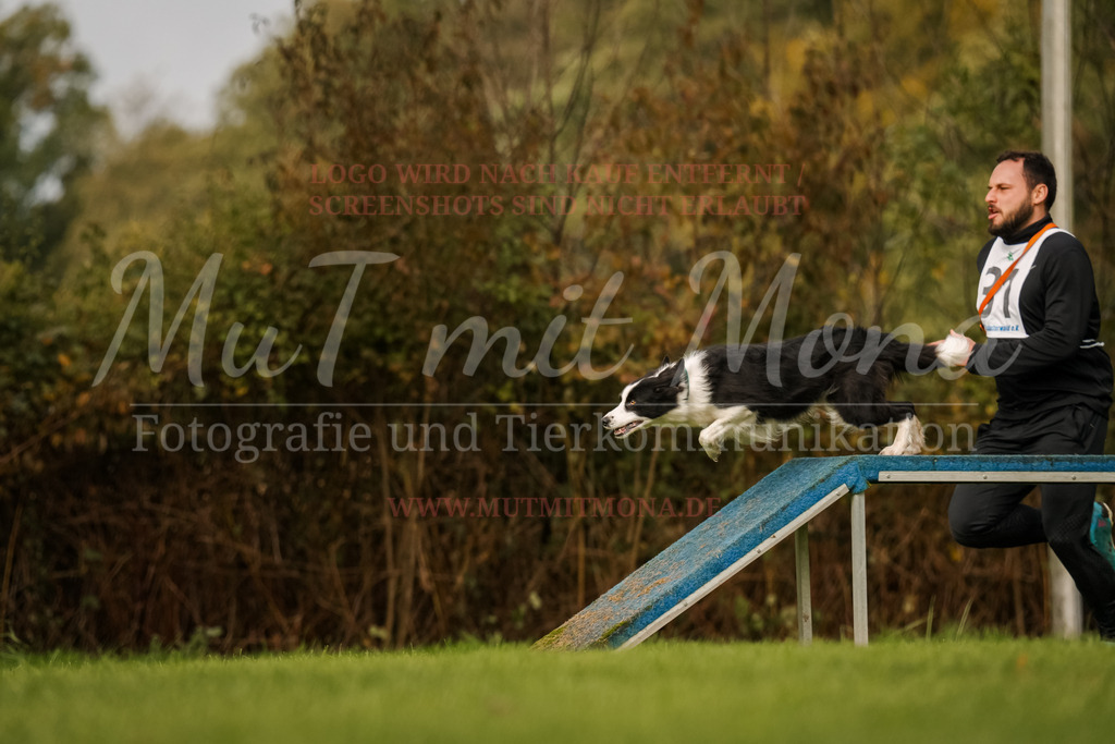 20251005_THS_Turnier-584 | MuT (Mensch und Tier) mit Mona - Fotografie und Tierkommunikation - Realisiert mit Pictrs.com