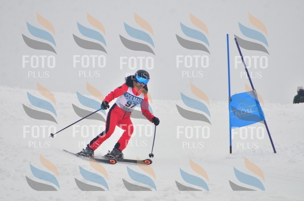 A5815 | holidayphoto