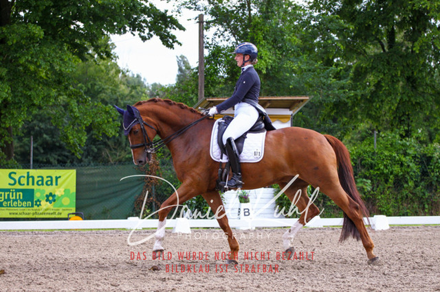 DKP41541 | Turnierfotos kaufen im Webshop von Daniel Kuhl Photography – entdecke professionelle Reitsportfotos aus Turnieren & Events. Hochwertige Turnierbilder online bestellen & sichern. Jetzt Fotos von Reitsportturnieren kaufen!