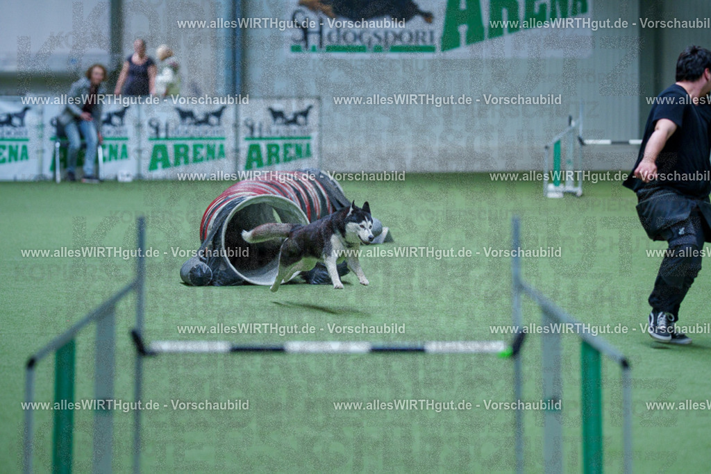 @allesWIRTHgut_Tierfotografie - www.allesWIRTHgut.de - 2604251520-7R505802 | Professionelle Tierfotografie in Mönchengladbach von Daniel Wirth (allesWIRTHgut). Liebevolle & natürliche Bilder von Hunden & Katzen für unvergessliche Erinnerungen.
