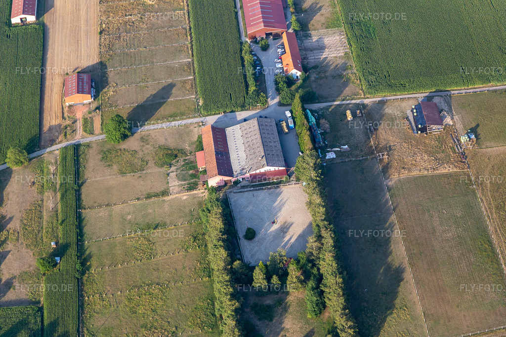 Luftbild: Ranch in Seebach im Bundesland Bas-Rhin in Frankreich. Foto: IMG_121010.jpg vom 23.07.2020 durch Werner Riehm/FLY-FOTO.de
