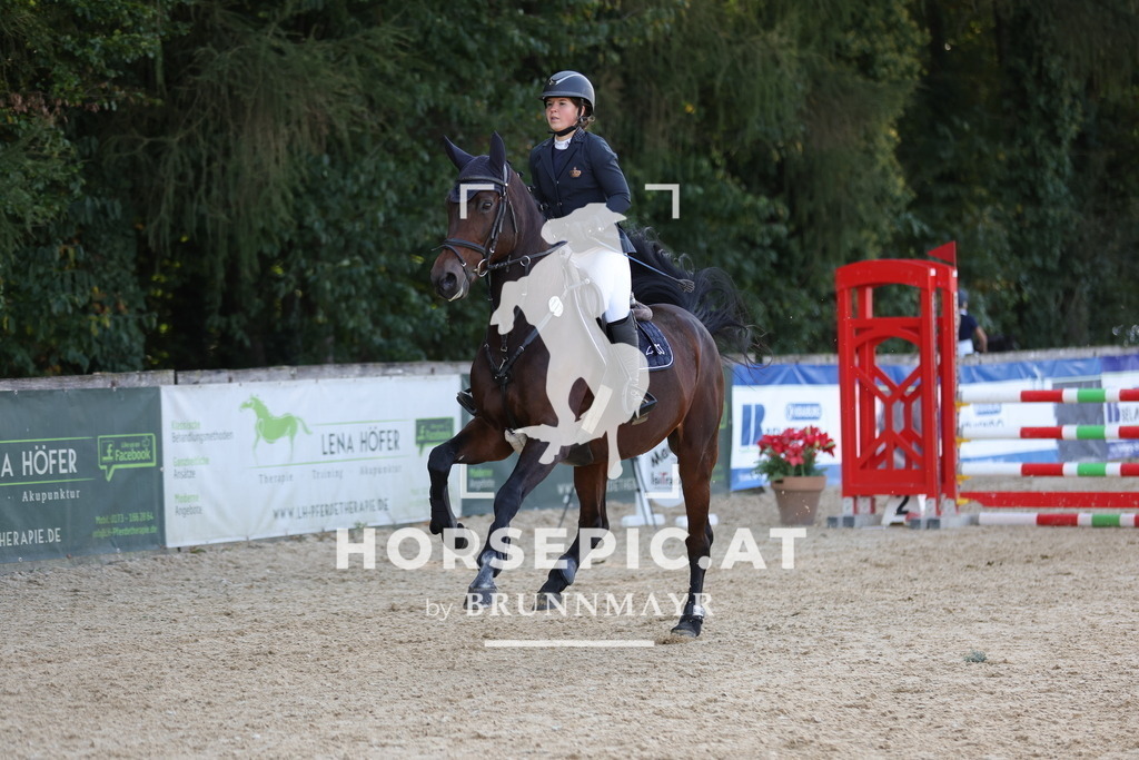 0P6A3575 | Willkommen bei Brunnmayr - Design & Fotografie – Ihrem Spezialisten für Reitturniere und Pferdeveranstaltungen in Oberösterreich, Salzburg und Bayern! Seit über 17 Jahren sind wir leidenschaftlich dabei.