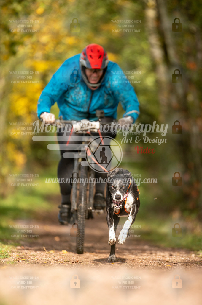 TSB_2023_E4_Bike-70 | PayLife