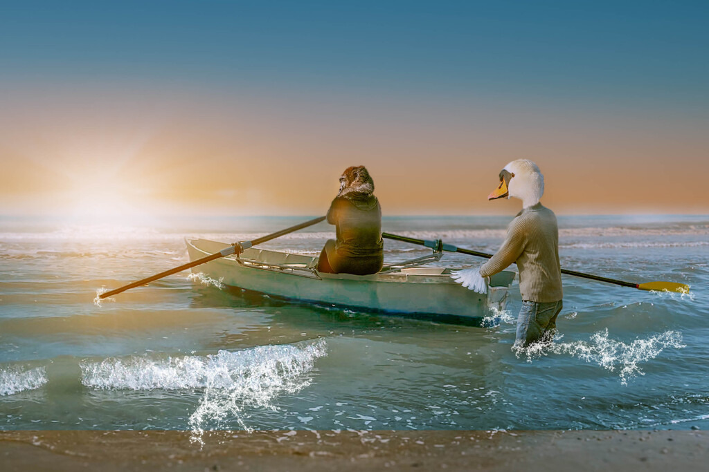 Ungleiche Reisefreunde | Ungleiche Reisefreunde wie in dieser Geschichte der Schwan und der Gorilla, machen sich auf in ein grosses Abenteuer - Realisiert mit Pictrs.com