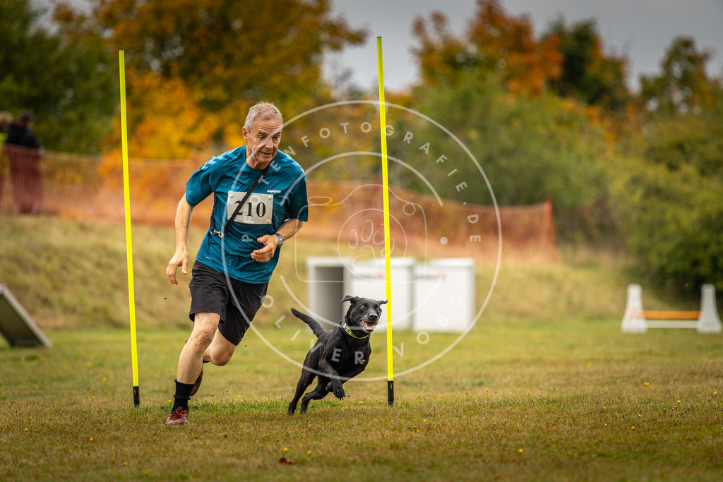 Pfotenfotografie_DV3A2376 | Hundefotografie, Tierfotograf, Pfotenfotografie, Fotoshooting Hund, Hunde Portrait, Hundesport, Hundeportraits, Heideshooting, Hunde, Sportfotograf, Hundefotograf, Turnierhundsport, THS,  - Realisiert mit Pictrs.com