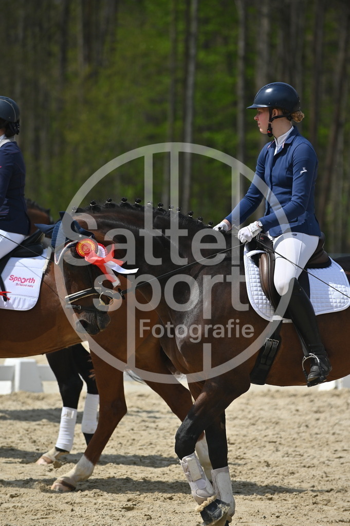 DSC_2656 | sattelsport - Realisiert mit Pictrs.com