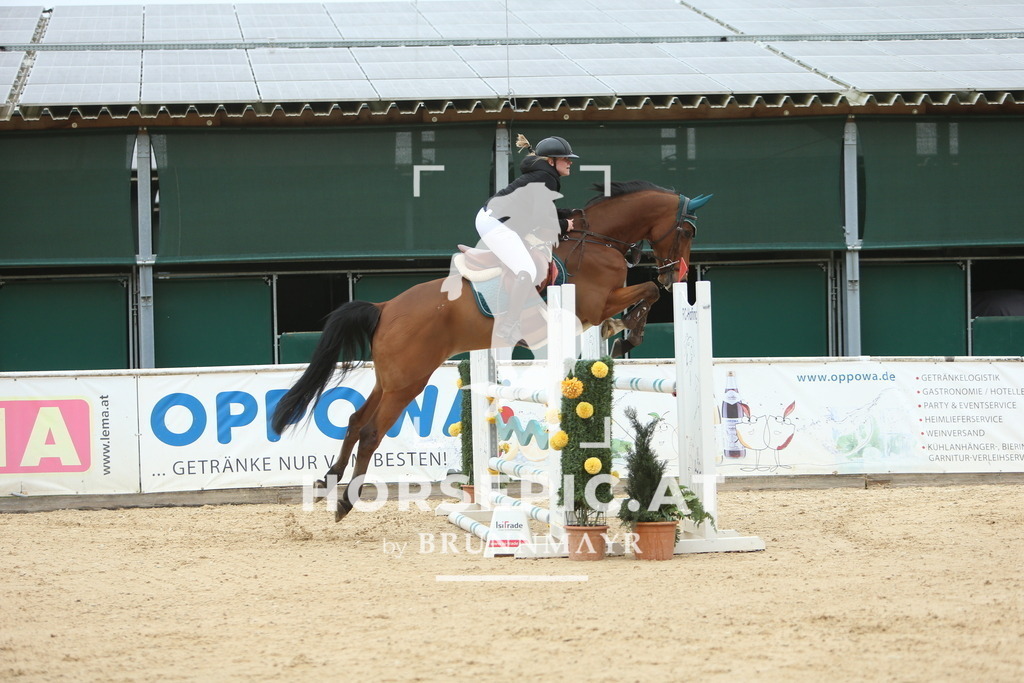 DL2Q6883 | Willkommen bei Brunnmayr - Design & Fotografie – Ihrem Spezialisten für Reitturniere und Pferdeveranstaltungen in Oberösterreich, Salzburg und Bayern! Seit über 17 Jahren sind wir leidenschaftlich dabei.