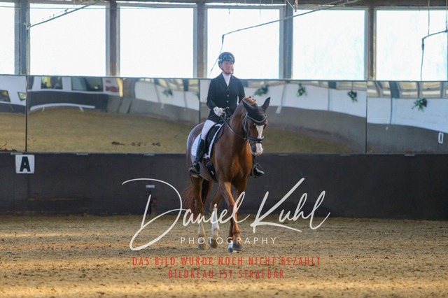 IMG_3006 | Turniersportfotografie; Pferdefotografie; Dressurfotografie
