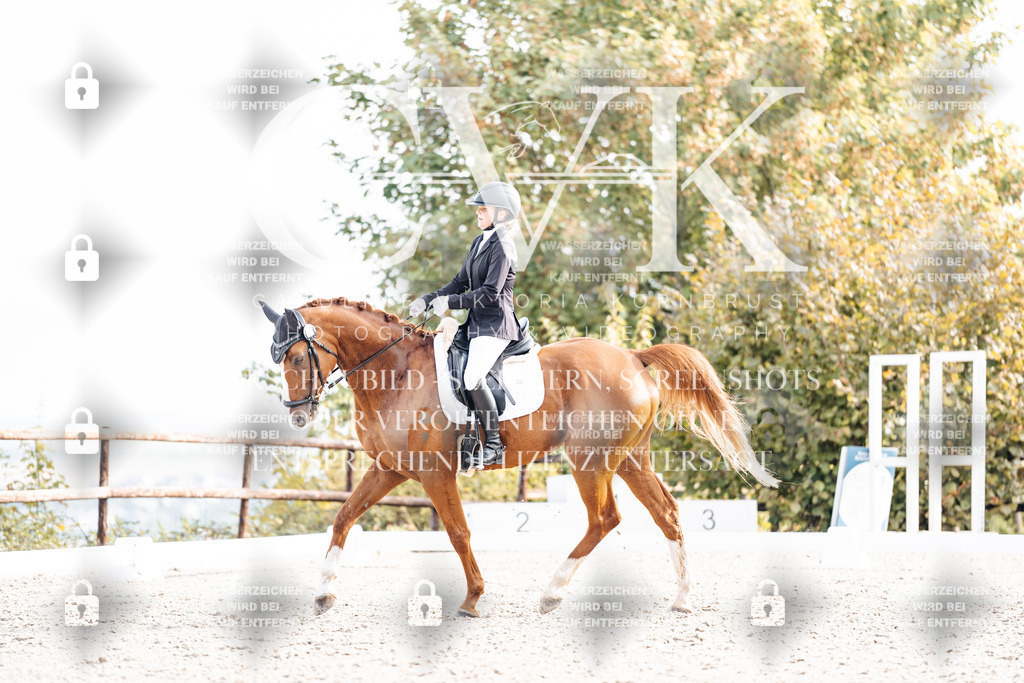 CK901360 | Turnierfotografie Pferdefotografie Trier Rheinland-Pfalz Pferdesport Reitsport Tierfotografie Sportfotografie Pferdevideo Pferdevideografie Equestrianvideography equestrianphotography  - Realisiert mit Pictrs.com