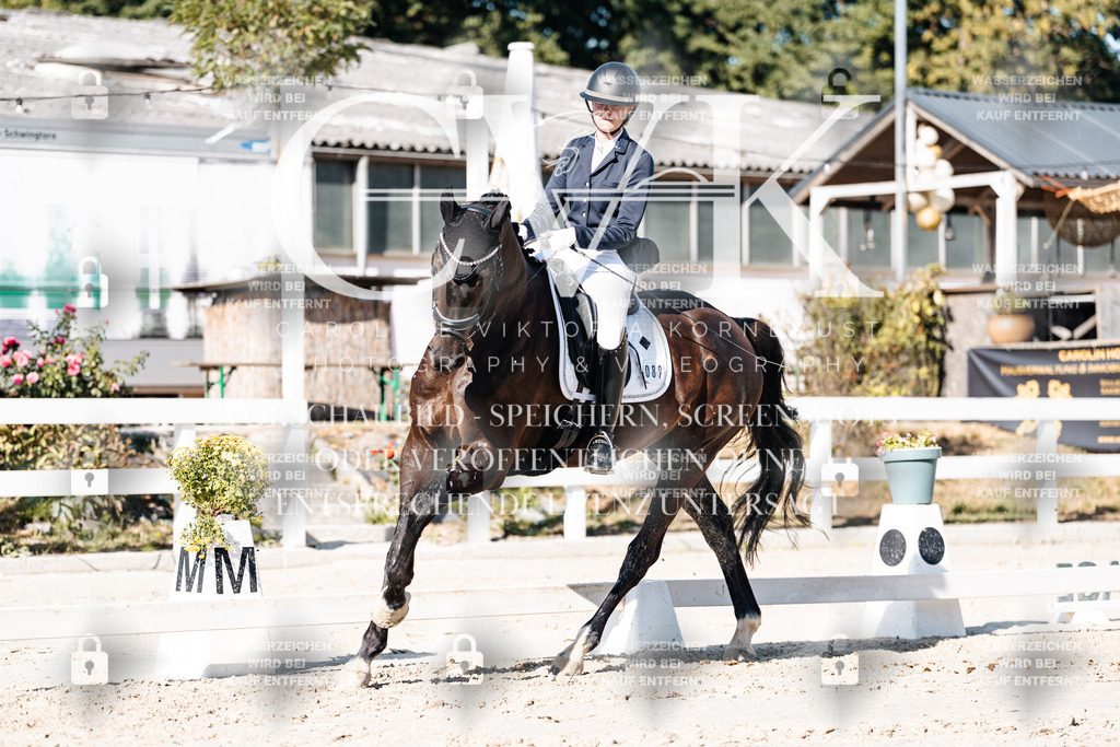 CK907837 | Turnierfotografie Pferdefotografie Trier Rheinland-Pfalz Pferdesport Reitsport Tierfotografie Sportfotografie Pferdevideo Pferdevideografie Equestrianvideography equestrianphotography  - Realisiert mit Pictrs.com