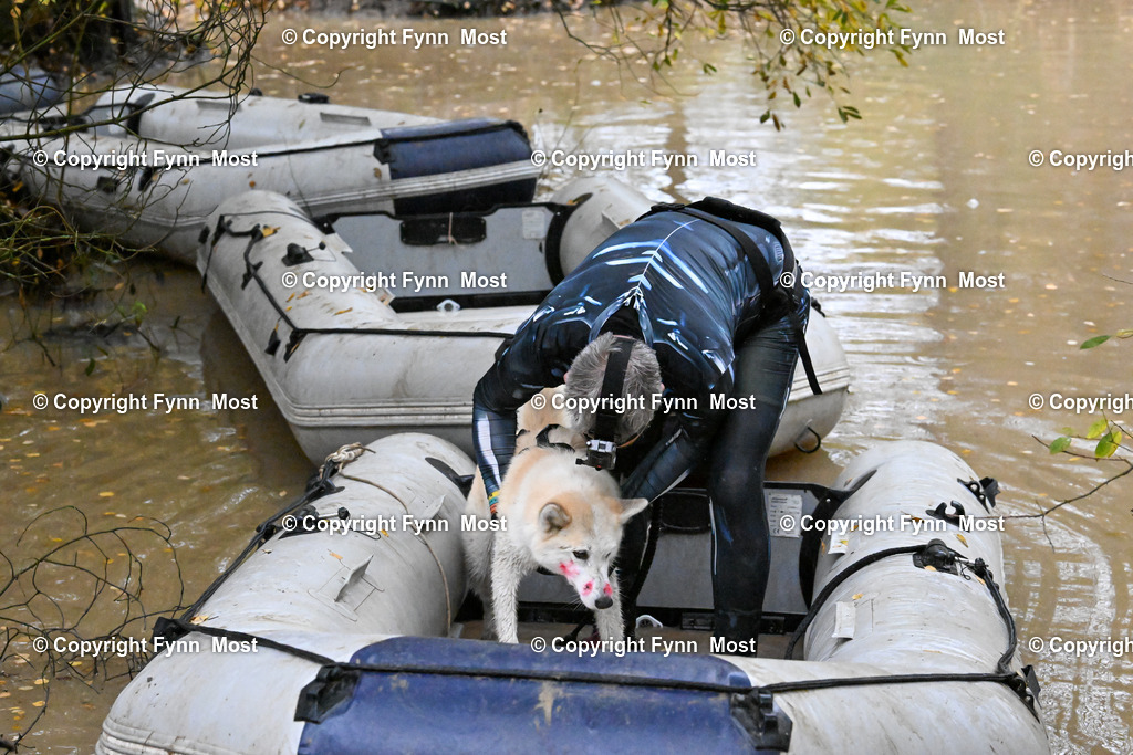 DSC_6825 | Hallo und herzlich Willkommen auf meiner Shop-Seite Fynn Most.

Ich wünsche Dir viel Spaß beim stöbern durch die Bilder, wenn Du Fragen hast oder Bilder vermisst, kannst du mir gerne eine Nachricht schreiben. - Realisiert mit Pictrs.com