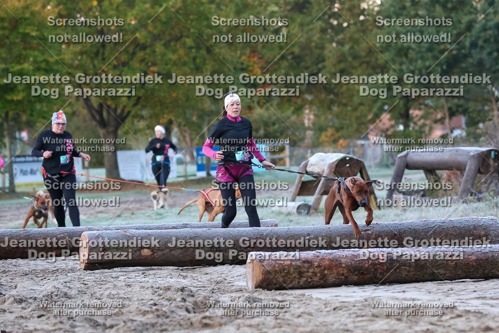 Dog Paparazzi - Strongdog 10-25-19 | Dog Paparazzi Jeanette Grottendiek Fotografie & Videografie - Realisiert mit Pictrs.com