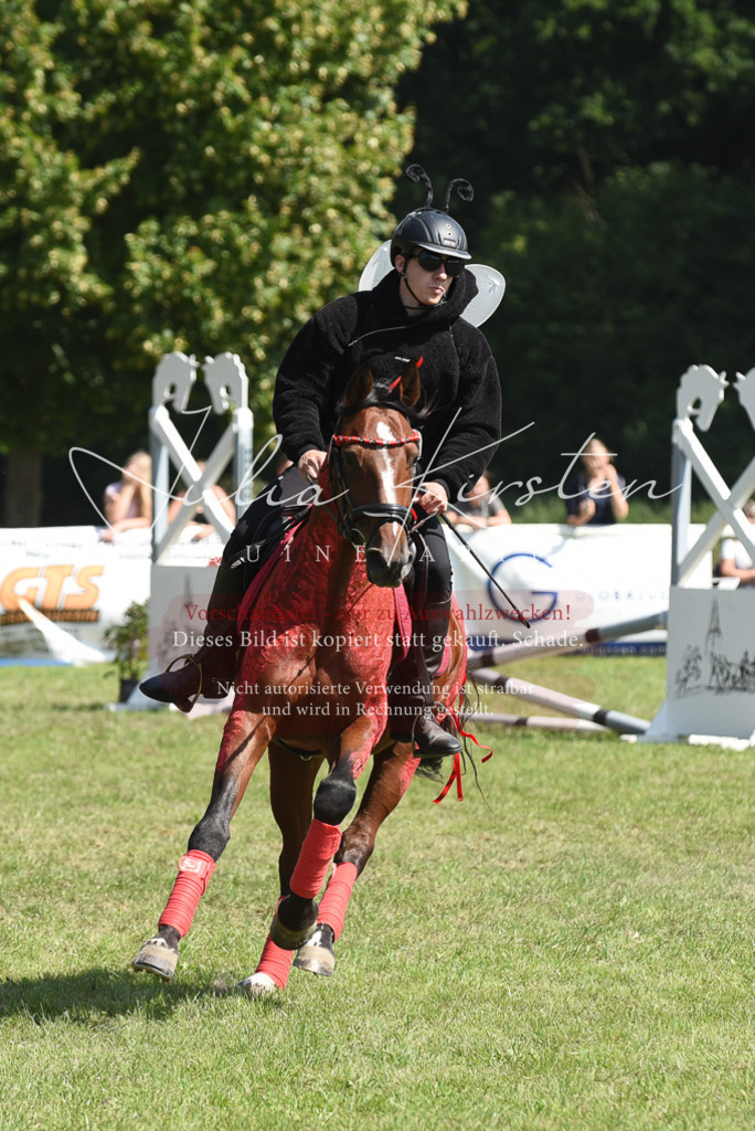 DSC_0199 | Pferde- und Turnierfotografie in Westsachsen. Pferdeportraits, Auftragszeichnungen und intuitive Kunst.