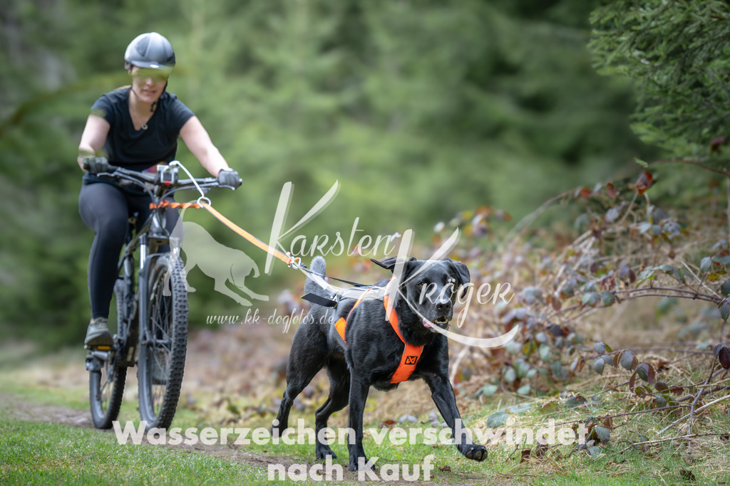 1309_ZZ93756 | kk-dogfotos