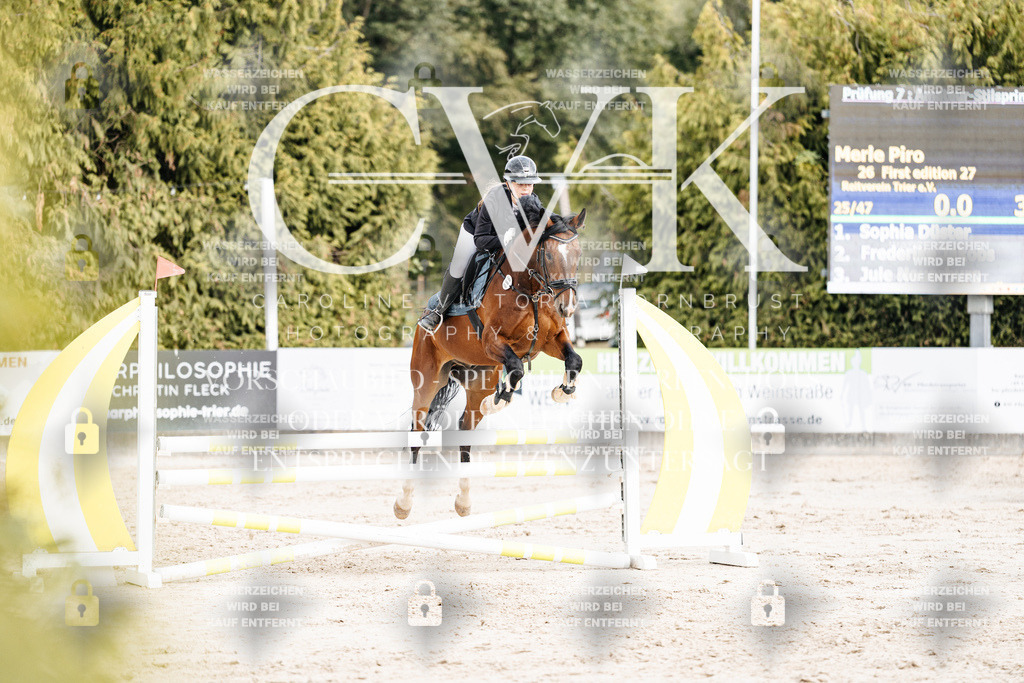CK902575 | Turnierfotografie Pferdefotografie Trier Rheinland-Pfalz Pferdesport Reitsport Tierfotografie Sportfotografie Pferdevideo Pferdevideografie Equestrianvideography equestrianphotography  - Realisiert mit Pictrs.com