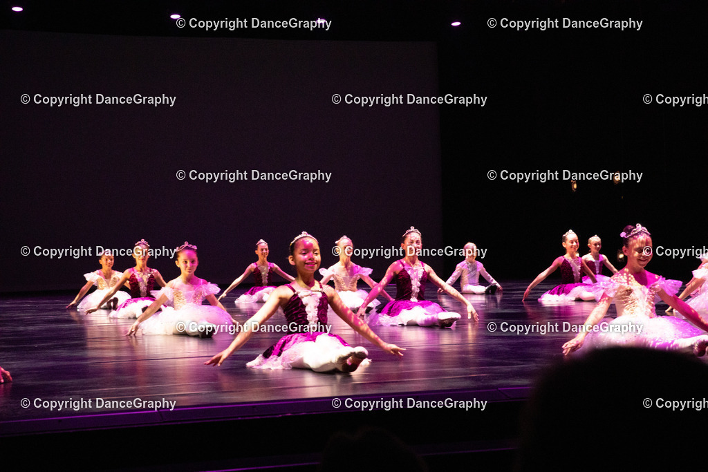 GPHY4421 | DanceGraphy - Realisiert mit Pictrs.com