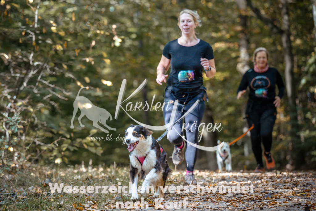 1305_ZZ97281 | kk-dogfotos