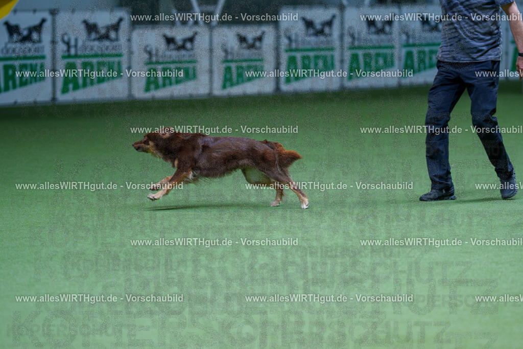 @allesWIRTHgut_Tierfotografie - www.allesWIRTHgut.de - 2604251221-7R501503 | Professionelle Tierfotografie in Mönchengladbach von Daniel Wirth (allesWIRTHgut). Liebevolle & natürliche Bilder von Hunden & Katzen für unvergessliche Erinnerungen.