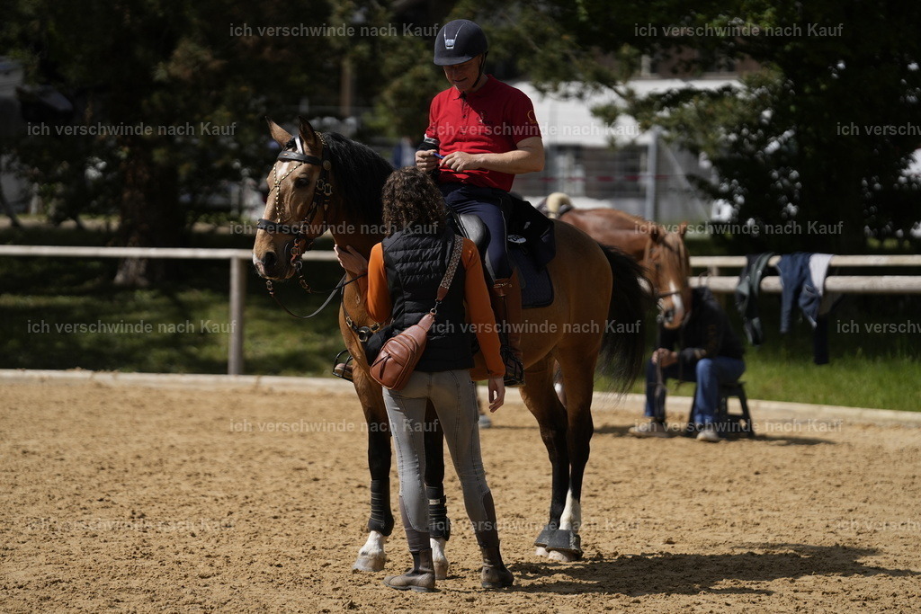PI26_COW_Stoibphotography_A749494.JPG | working equitationturnier fotograf videograf stoibphotography marixx film working equitation deutschland reitsport turnierfotografie eventfotografie equestrian events
