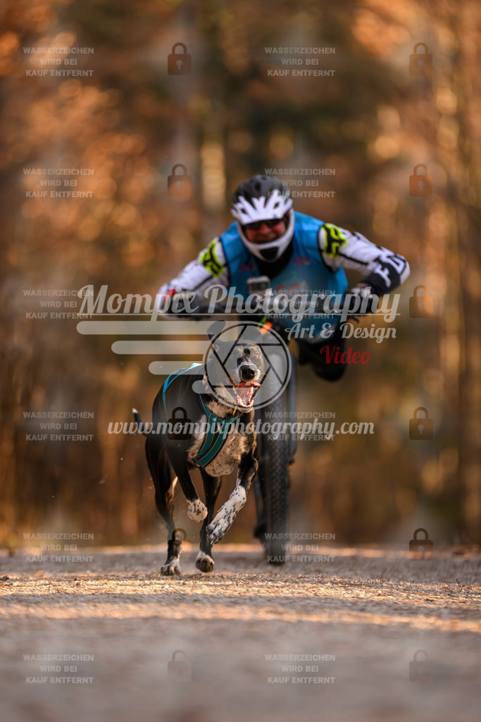 MompixPhotography_DM_AKDM_SO_2025_Scooter-174 | PayLife