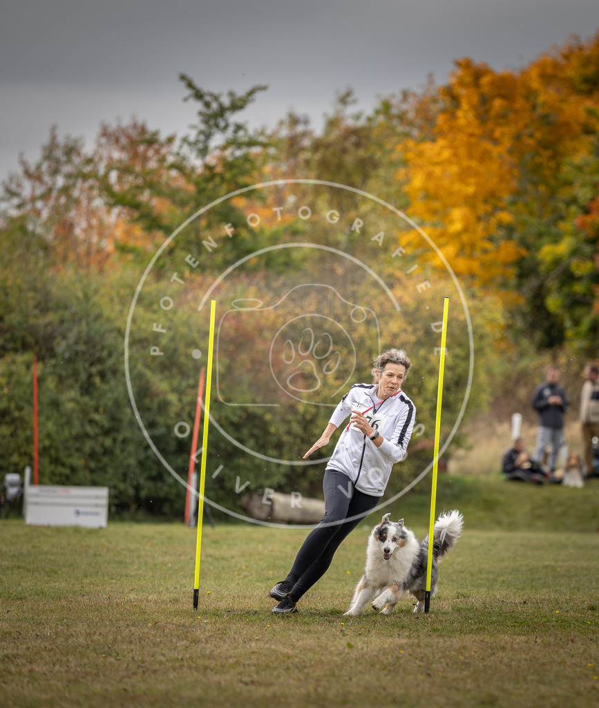 Pfotenfotografie_DV3A5795 | Hundefotografie, Tierfotograf, Pfotenfotografie, Fotoshooting Hund, Hunde Portrait, Hundesport, Hundeportraits, Heideshooting, Hunde, Sportfotograf, Hundefotograf, Turnierhundsport, THS,  - Realisiert mit Pictrs.com
