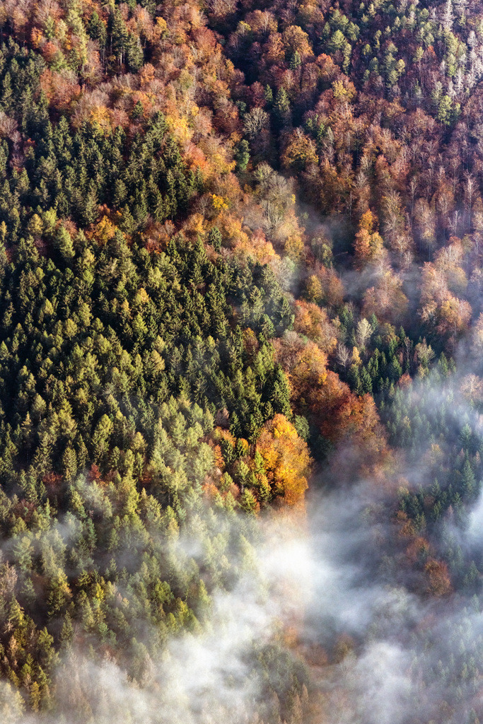 dr__0040333.jpg | HAINA (KLOSTER) 31.10.2019 Herbstliche verfärbte Vegetationsansicht Wetterlage mit Wolkenbildung über einem Wald in Bad Wildungen im Bundesland Hessen, Deutschland. // Autumnal discolored vegetation view weather conditions with cloud formation ueber einem Wald in Bad Wildungen in the state Hesse, Germany. Foto: Daniel Reiter