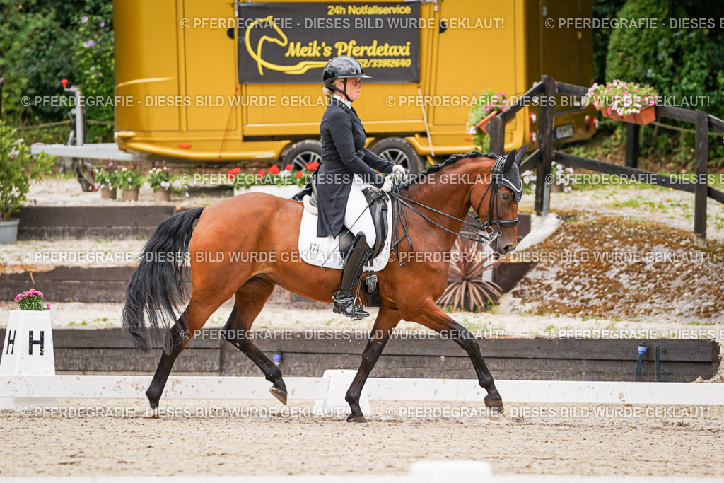 DSC07176 | Pferdegrafie