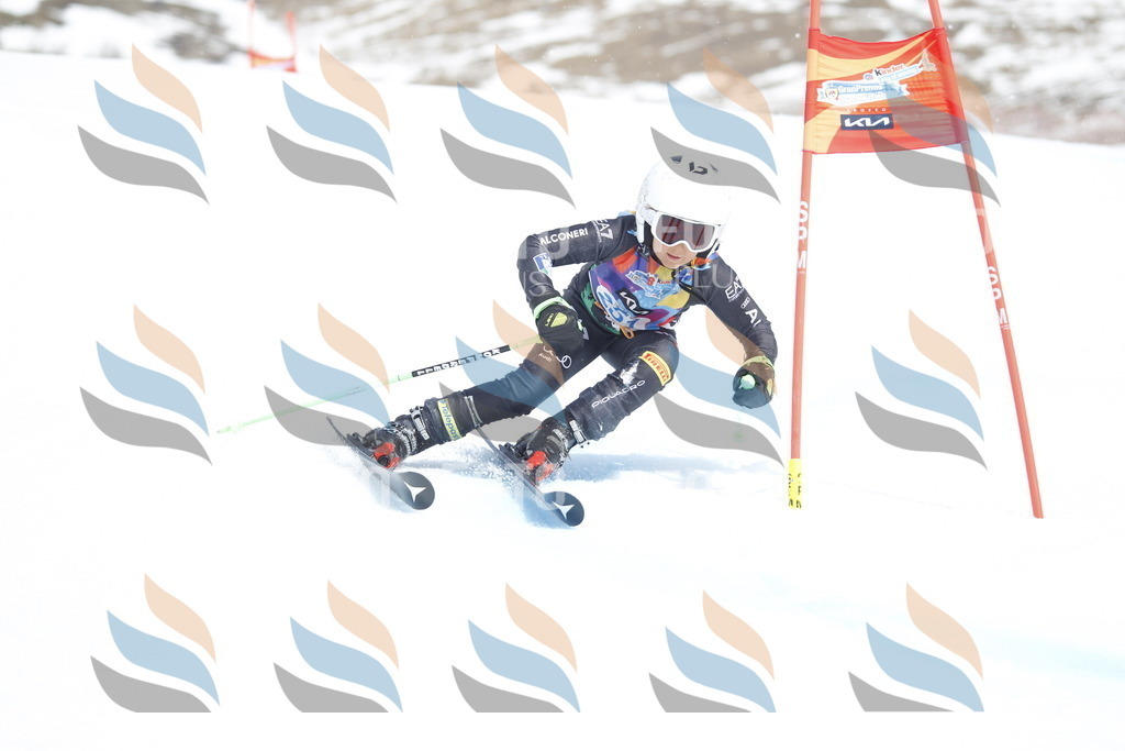 _U3G2919 | holidayphoto