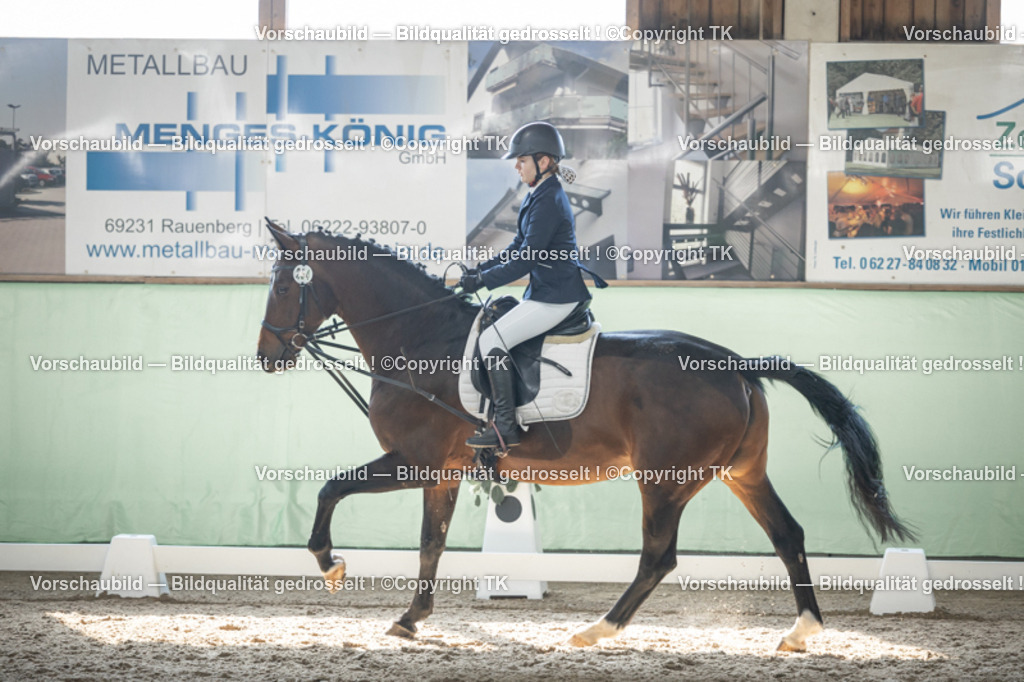 _D5A8989 | Emotionale Pferde- & People-Fotografie rund um Heidelberg, Leimen & Umgebung. Natürliche Fotos von Pferd, Mensch & Familie. Jetzt Termin sichern!