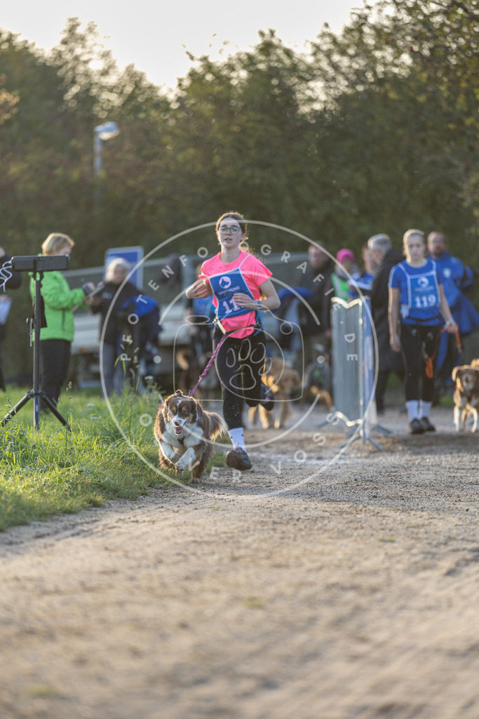 Pfotenfotografie.de_DV3A2476 | Hundefotografie, Tierfotograf, Pfotenfotografie, Fotoshooting Hund, Hunde Portrait, Hundesport, Hundeportraits, Heideshooting, Hunde, Sportfotograf, Hundefotograf, Turnierhundsport, THS, canicross - Realisiert mit Pictrs.com