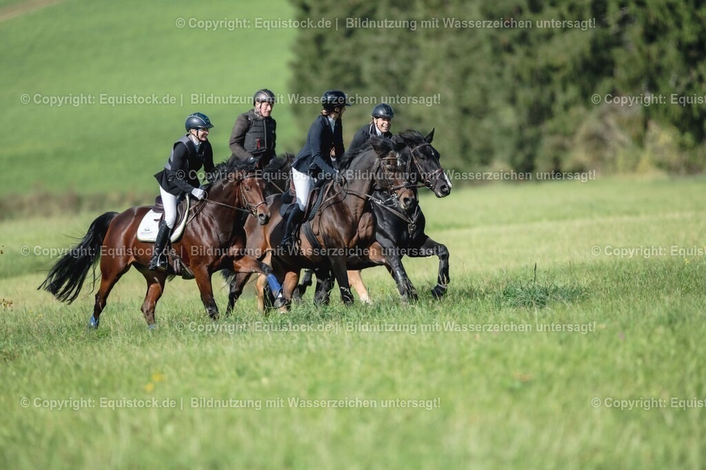20251011_Jagd-Marbach_0262 | Foto: Thomas Hartig