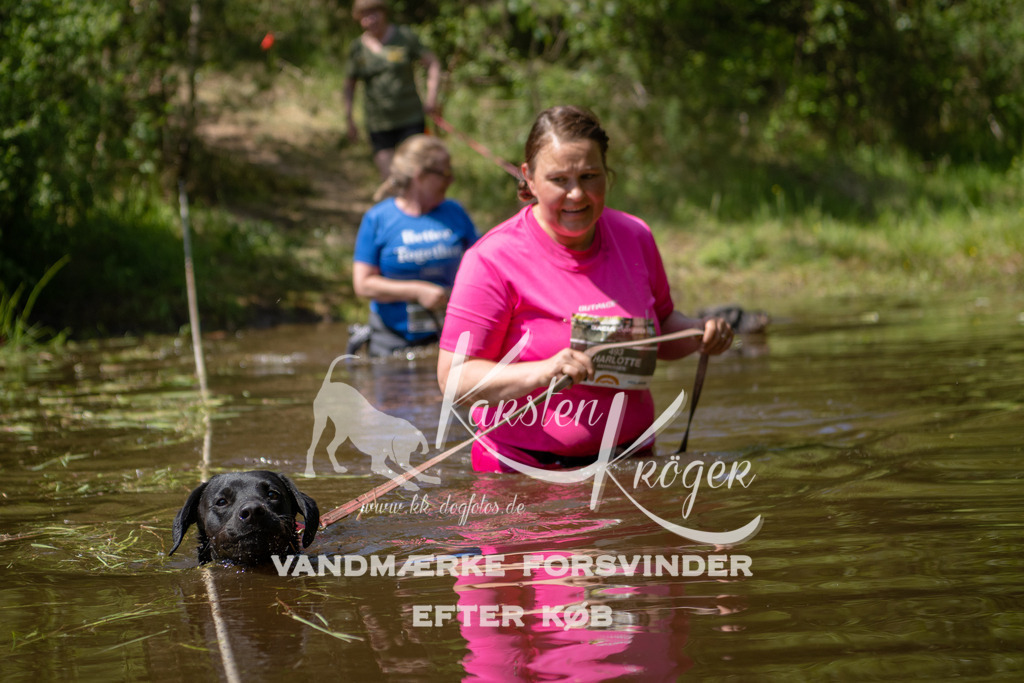 DK K991608141423 | kk-dogfotos