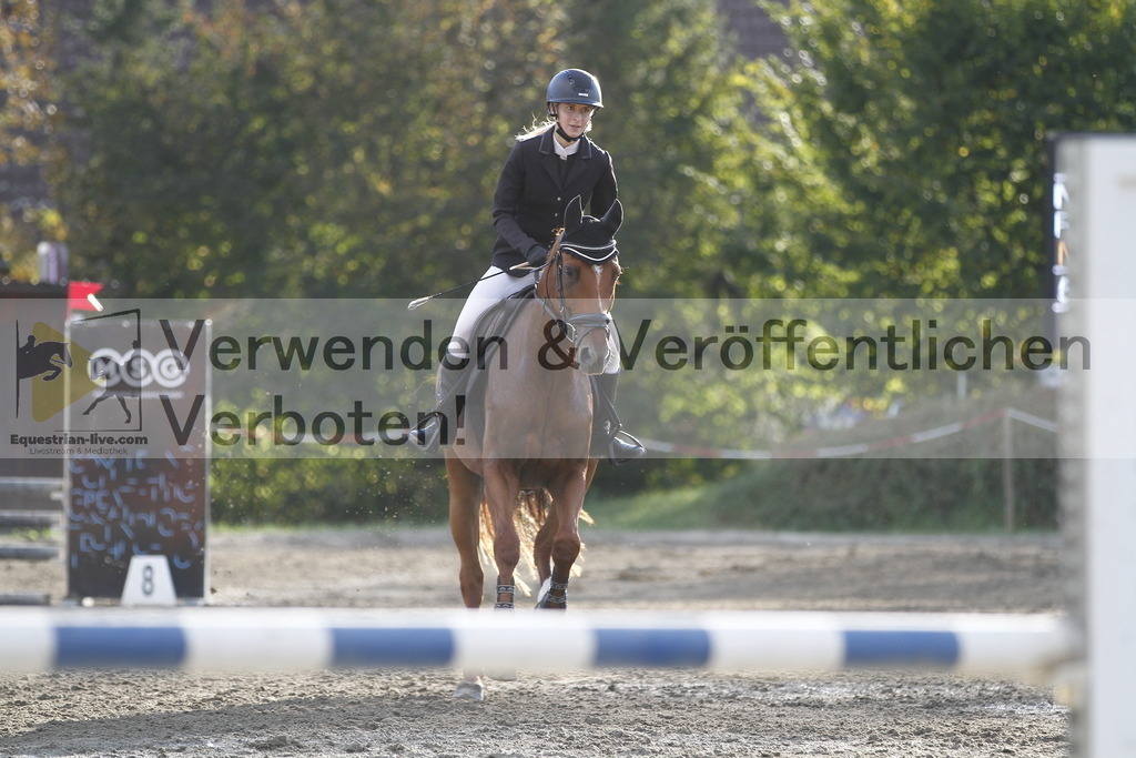 _MG_4204 | equestrian-live-com