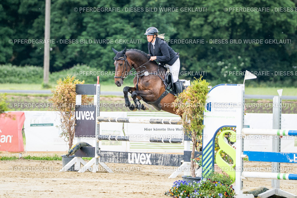 DSC04190 | Pferdegrafie