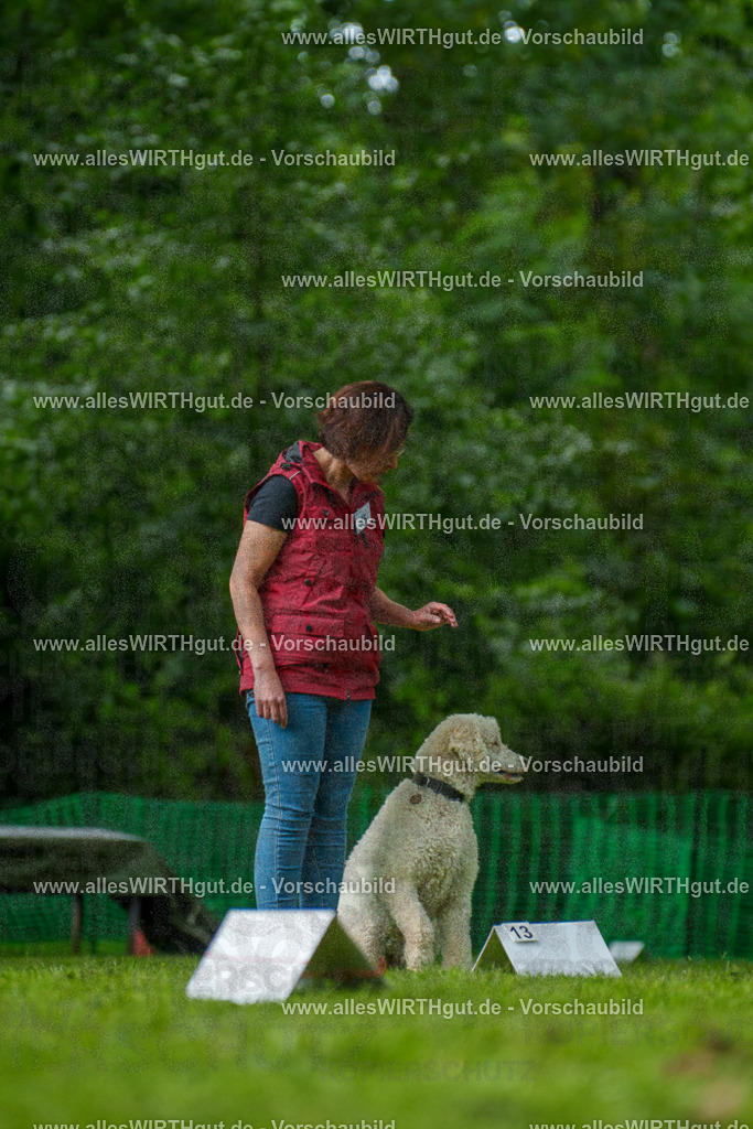 @allesWIRTHgut_Tierfotografie - www.allesWIRTHgut.de - 7R505251 | Professionelle Tierfotografie in Mönchengladbach von Daniel Wirth (allesWIRTHgut). Liebevolle & natürliche Bilder von Hunden & Katzen für unvergessliche Erinnerungen.