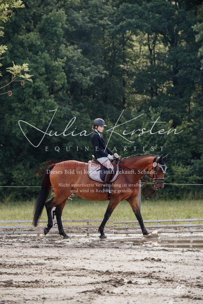 DSC_8086 | Pferde- und Turnierfotografie in Westsachsen. Pferdeportraits, Auftragszeichnungen und intuitive Kunst.