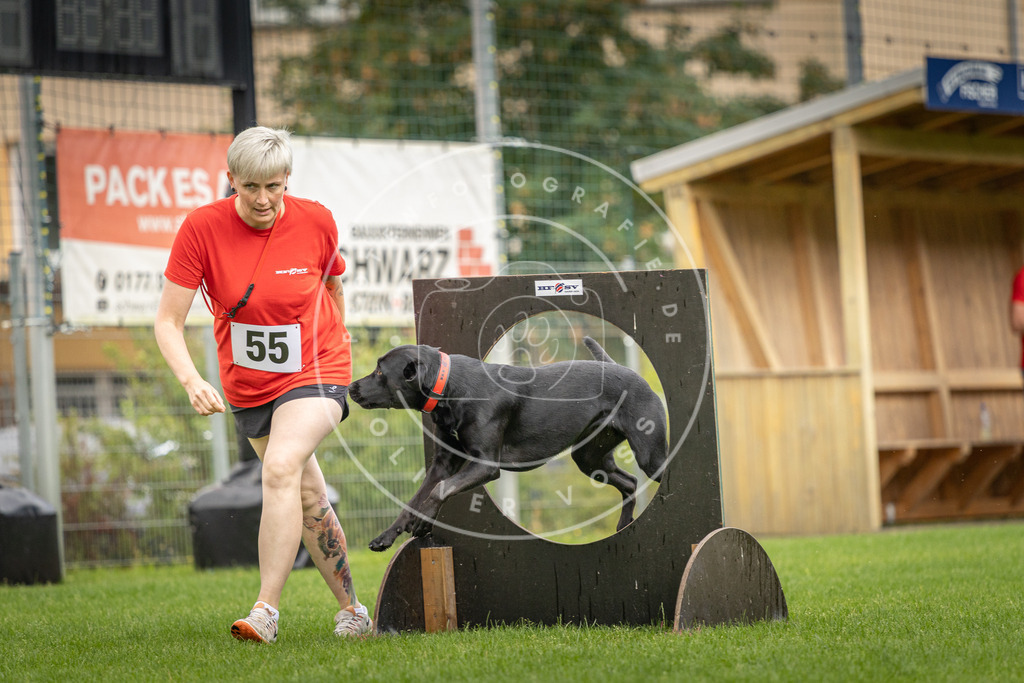 Pfotenfotografie_DV3A5150 | Hundefotografie, Tierfotograf, Pfotenfotografie, Fotoshooting Hund, Hunde Portrait, Hundesport, Hundeportraits, Heideshooting, Hunde, Sportfotograf, Hundefotograf, Turnierhundsport, THS,  - Realisiert mit Pictrs.com