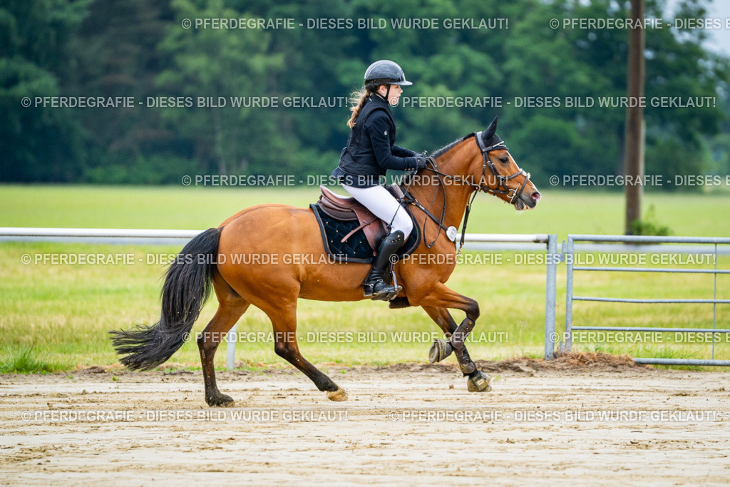 DSC01633 | Pferdegrafie