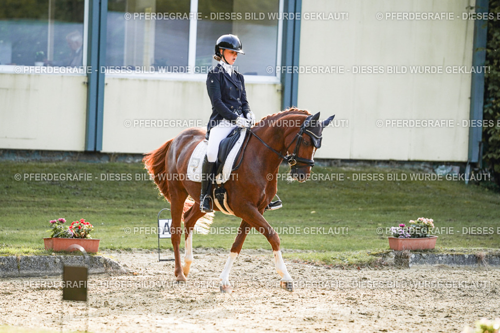 DSC04690 | Pferdegrafie