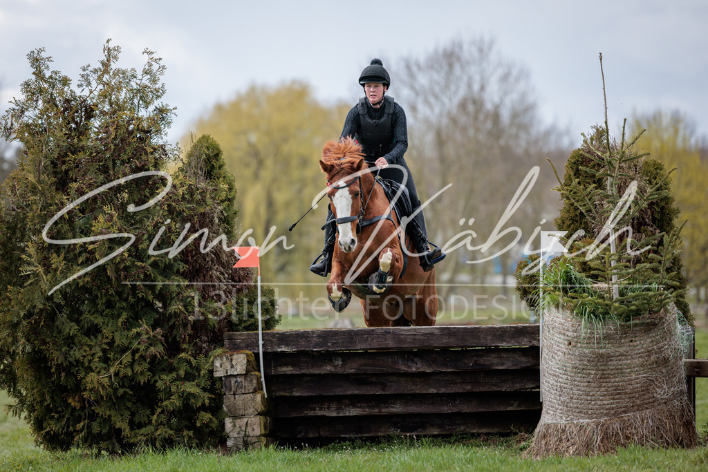 20260329-_3LI5210 | Tierfotografie Pferde, Hunde, Katzen, Haustiere.
Turnierfotografie Reitturniere, Reiten, Springreiten, Dressur in Hanau, dem Main-Kinzig-Kreis und dem Rhein-Main- Gebiet um Frankfurt